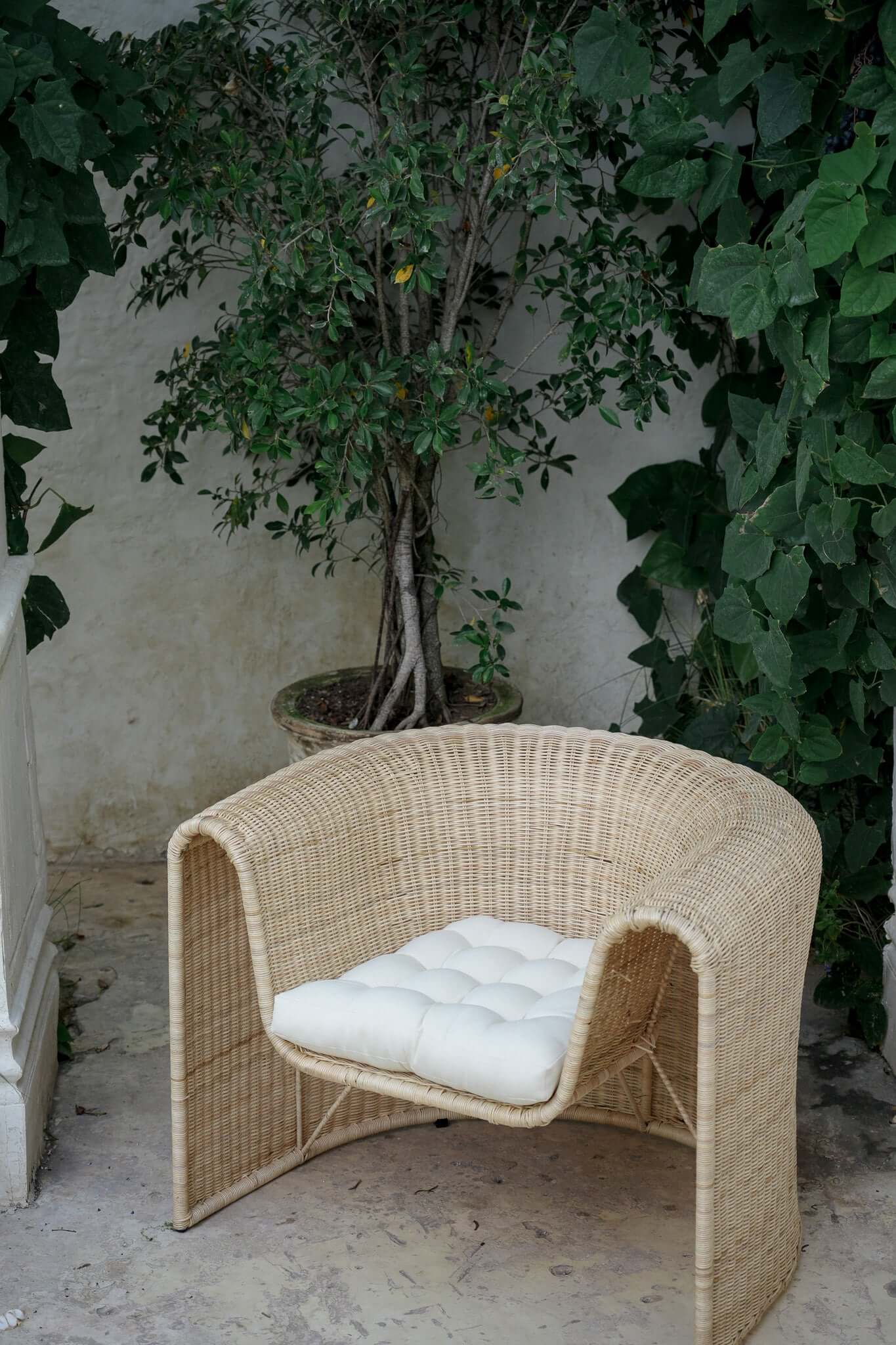 Palma rattan furniture sale