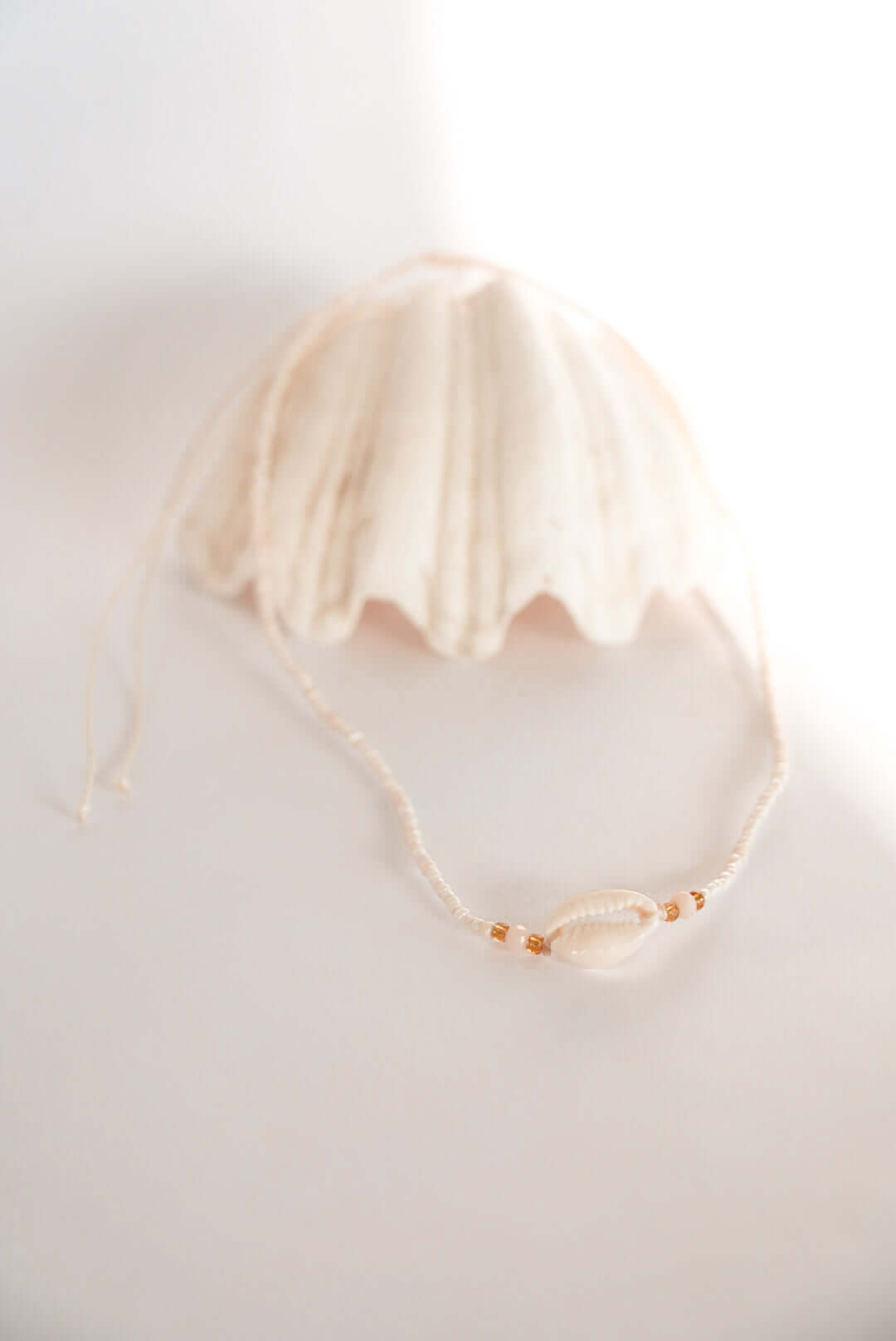 THE ISLAND SHELL NECKLACE by HIBISCUS THE LABEL - Shop at Black Salt Co