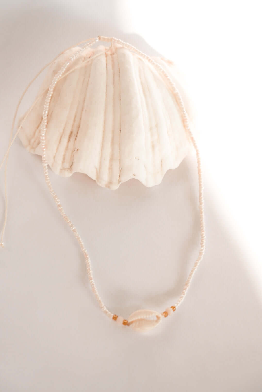 THE ISLAND SHELL NECKLACE by HIBISCUS THE LABEL - Shop at Black Salt Co