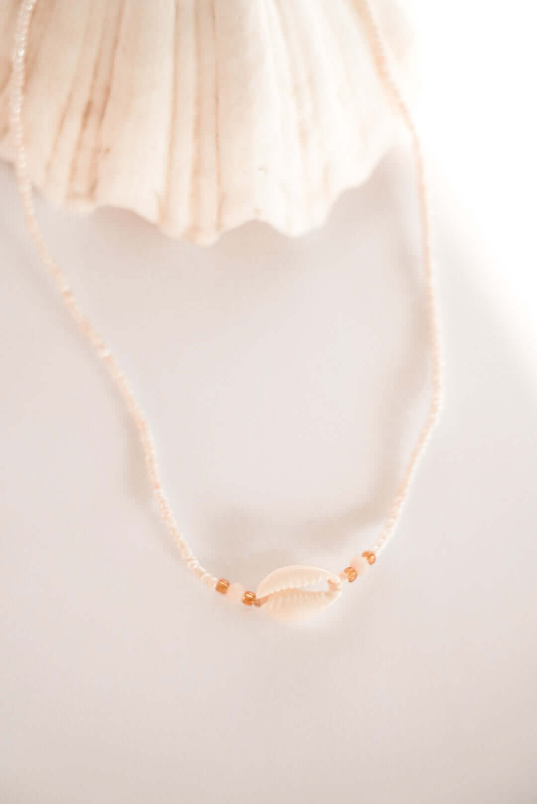 THE ISLAND SHELL NECKLACE by HIBISCUS THE LABEL - Shop at Black Salt Co