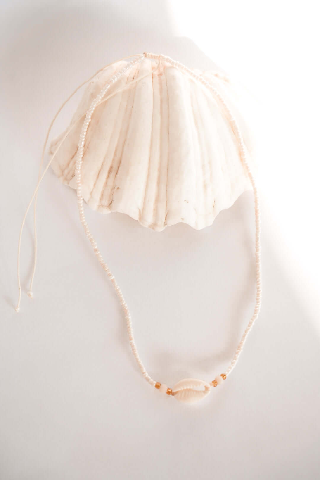 THE ISLAND SHELL NECKLACE by HIBISCUS THE LABEL - Shop at Black Salt Co