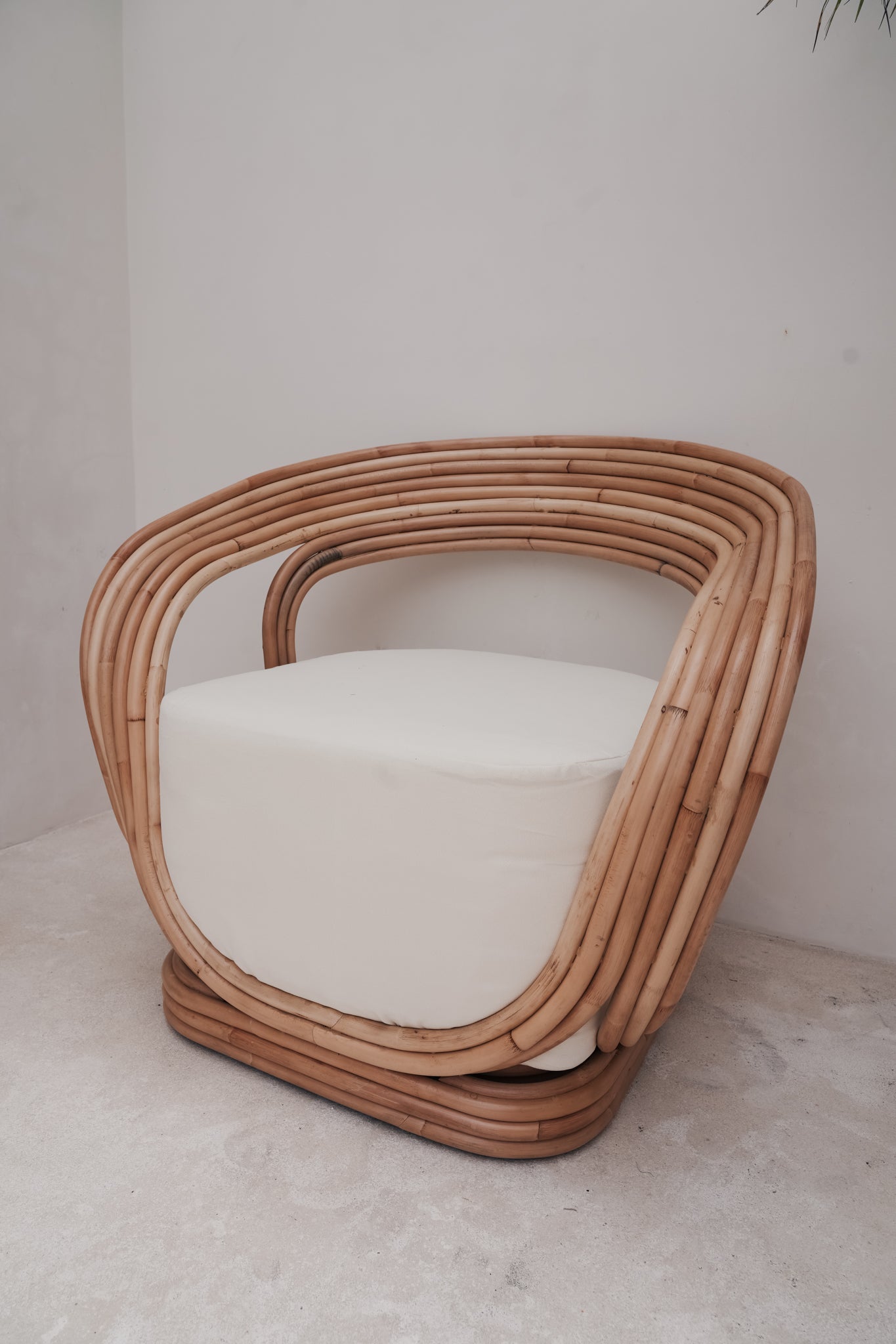 THE RICO CHAIR by Black Salt Co Designer Homewares Furniture Australia