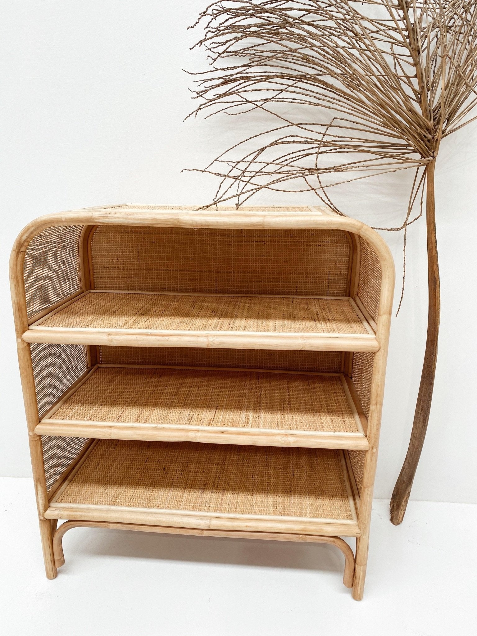 THE SEVILLE LOW BOOKSHELF by Black Salt Co Exclusive - Shop at Black Salt Co