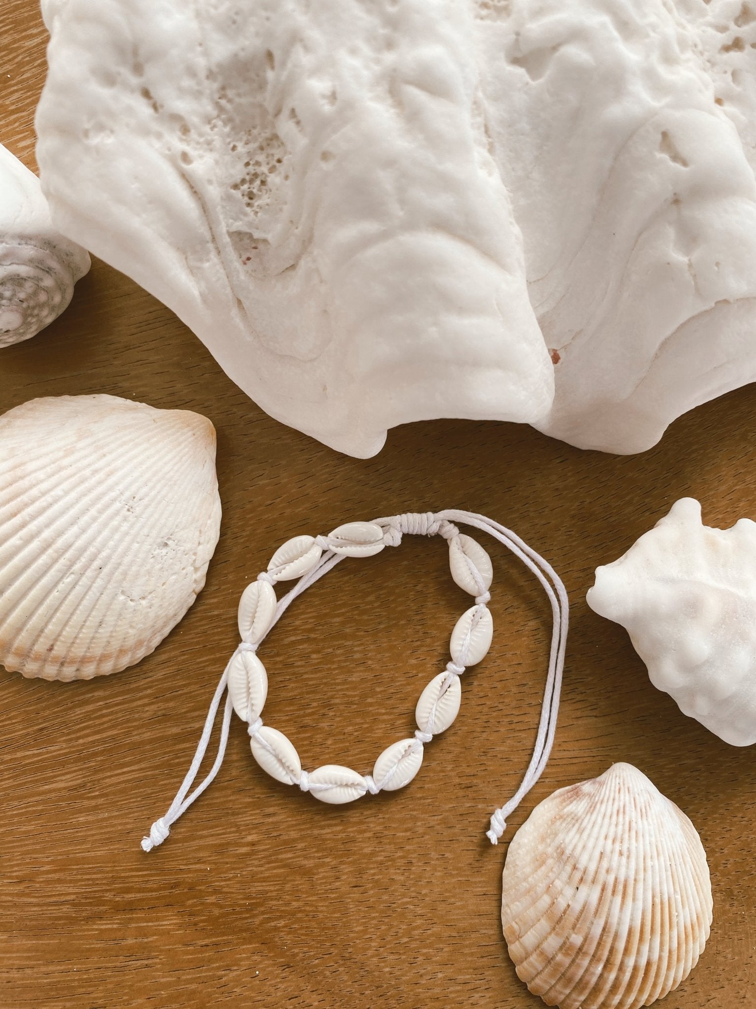 THE SHELL BRACELET by Black Salt Co - Shop at Black Salt Co