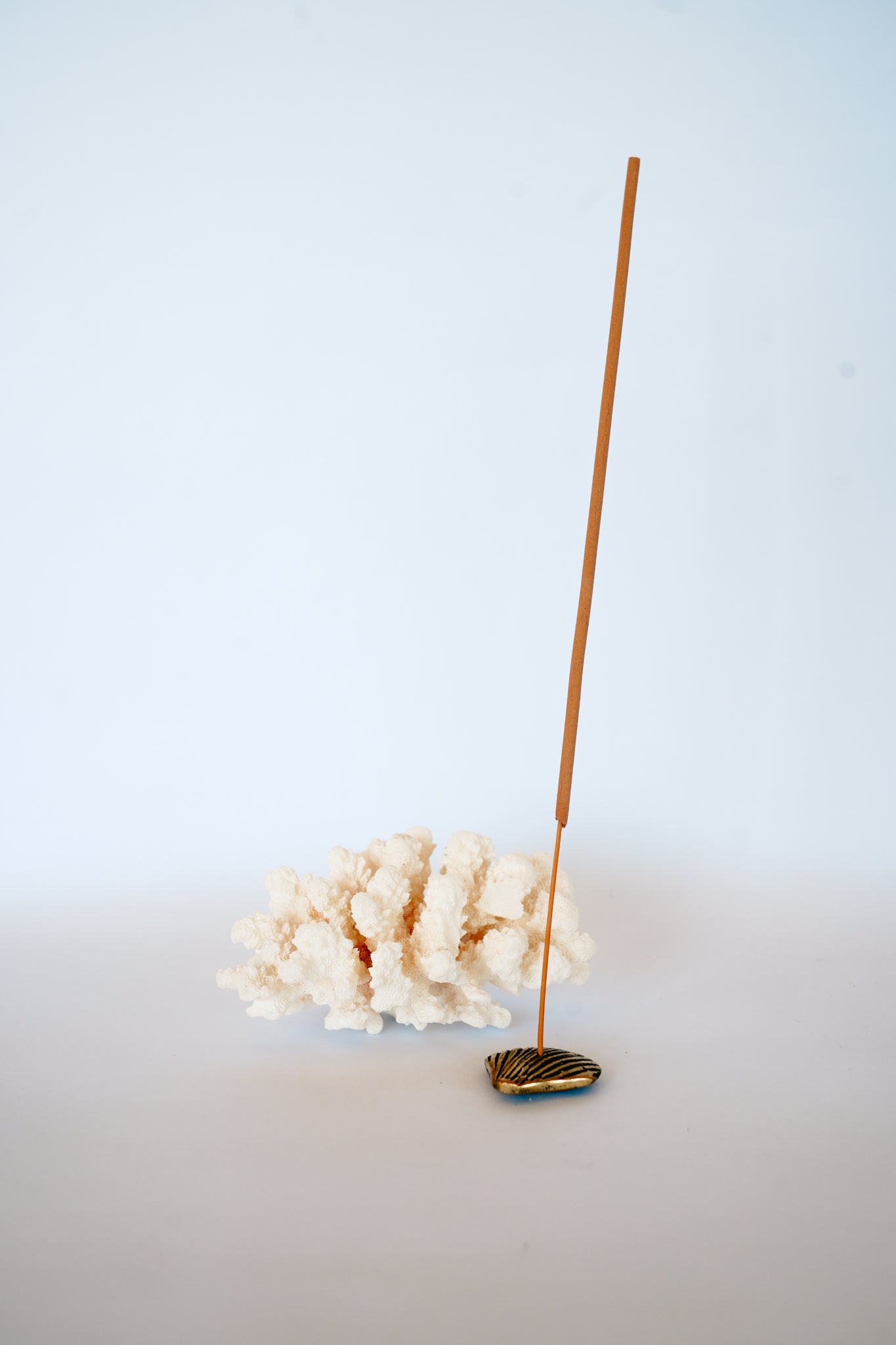 THE SHELL BRASS INCENSE HOLDER by HIBISCUS THE LABEL Designer Homewares Furniture Australia