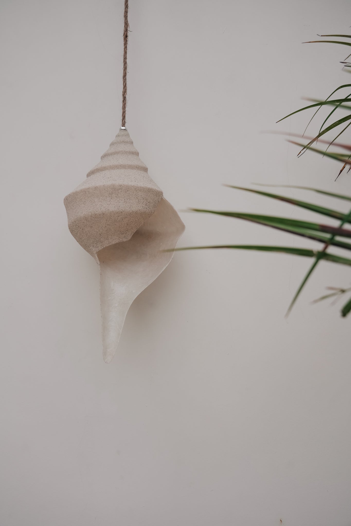 THE SHELL PENDANT Color: SAND by Black Salt Co Designer Homewares Furniture Australia