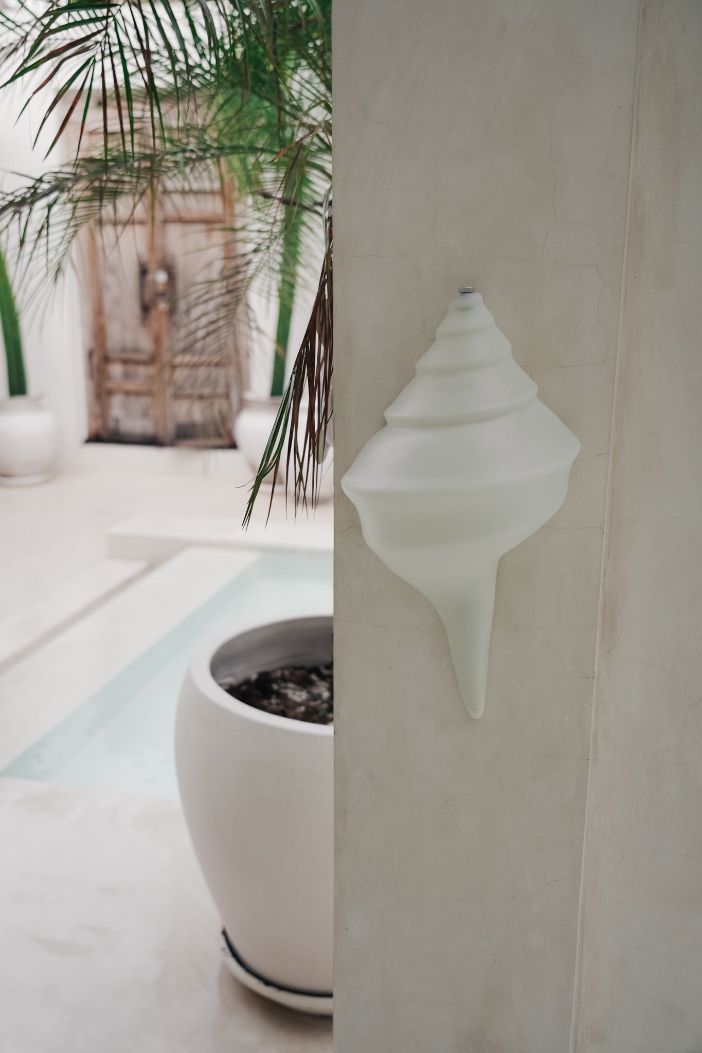 THE SHELL SCONCE by Black Salt Co - Shop at Black Salt Co