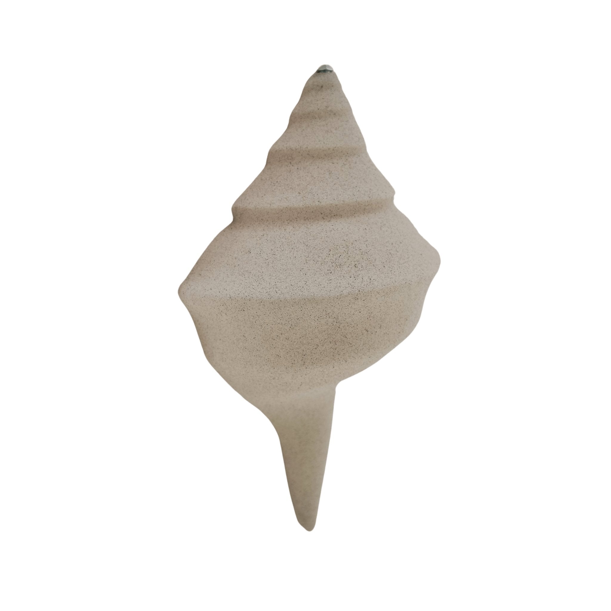 THE SHELL SCONCE Color: WHITE by Black Salt Co Designer Homewares Furniture Australia