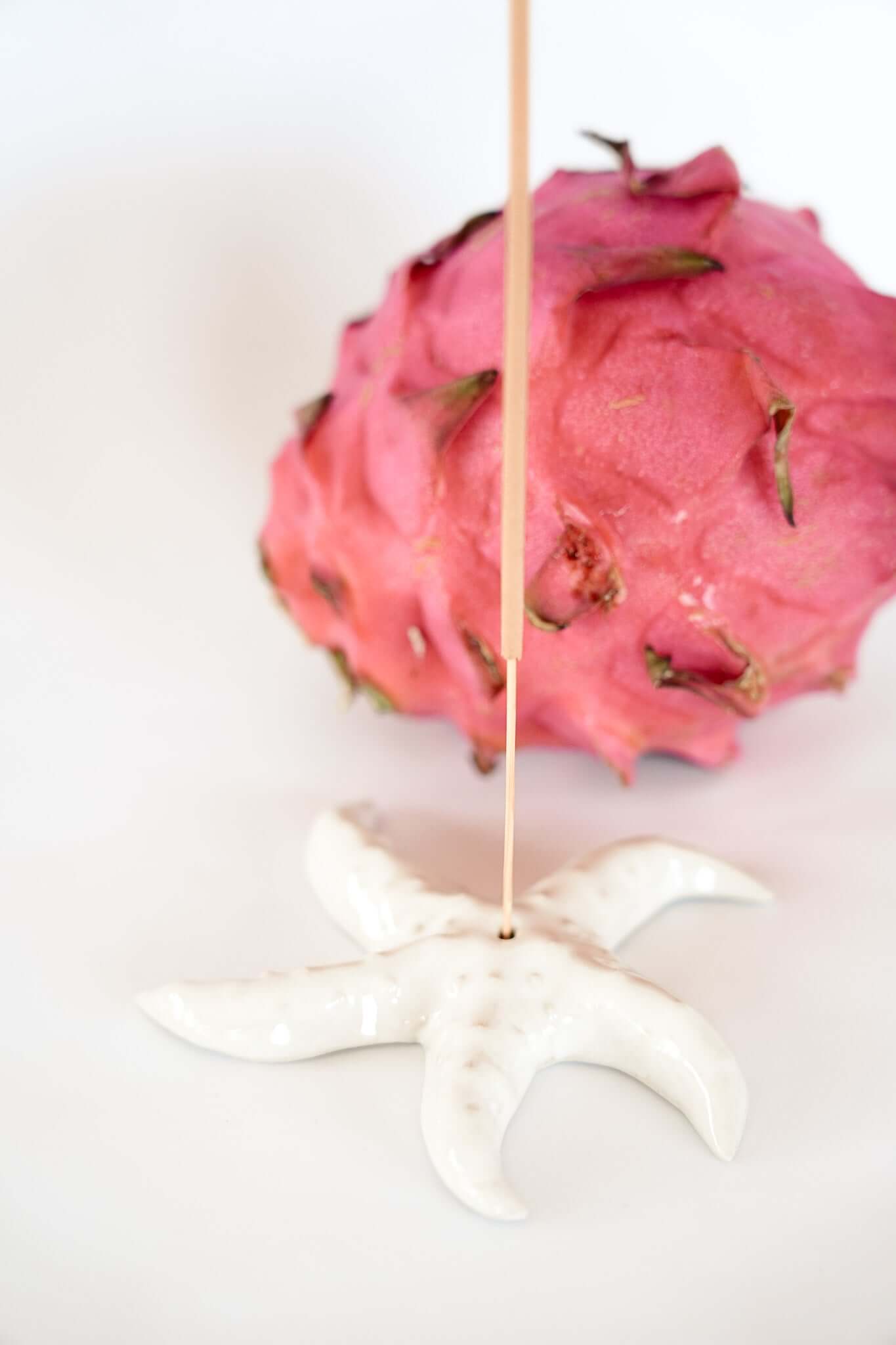 THE STARFISH INCENSE HOLDER by HIBISCUS THE LABEL Designer Homewares Furniture Australia