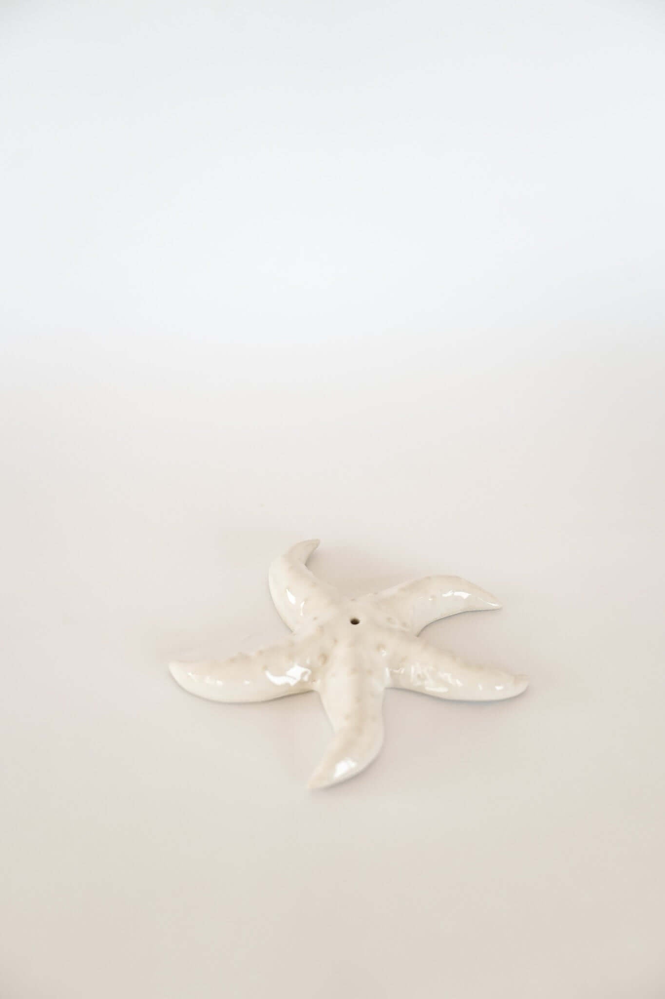 THE STARFISH INCENSE HOLDER by HIBISCUS THE LABEL Designer Homewares Furniture Australia